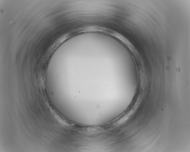 X0000078310857200611251532