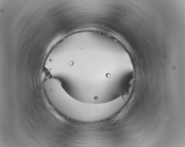 X0000078310858200611251532