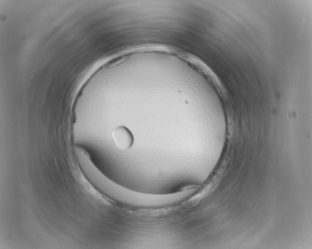 X0000078310860200611251532