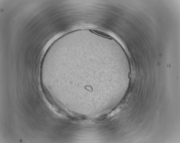 X0000078310861200611251532