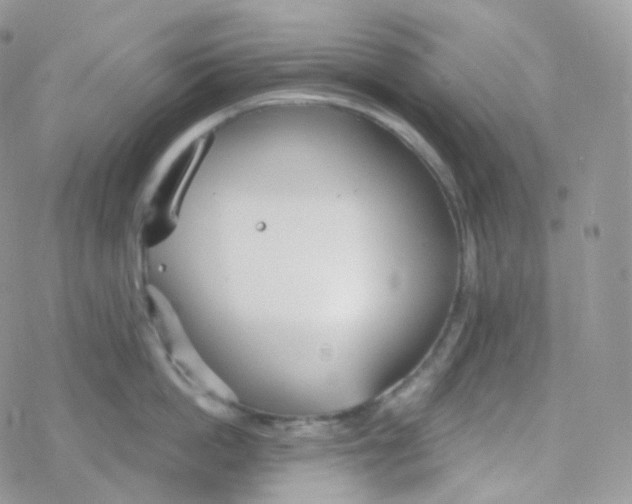 X0000078310862200611251532