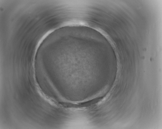 X0000078310864200611251532