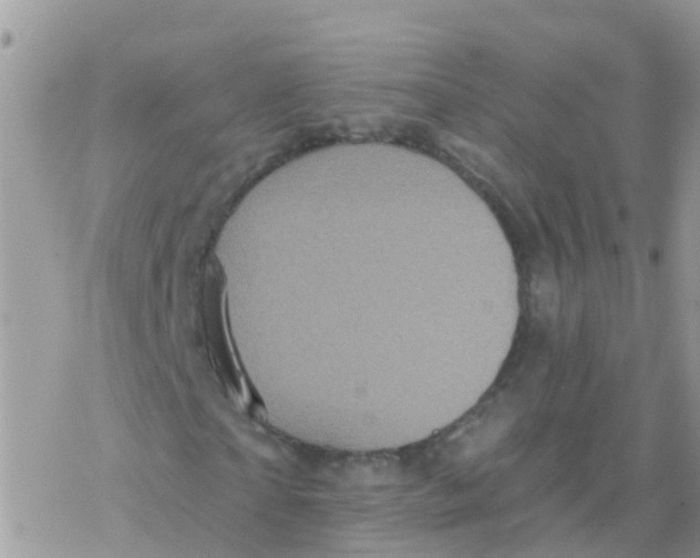 X0000078310865200611251531