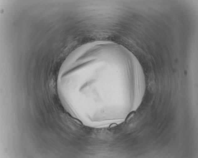 X0000078310866200611251531