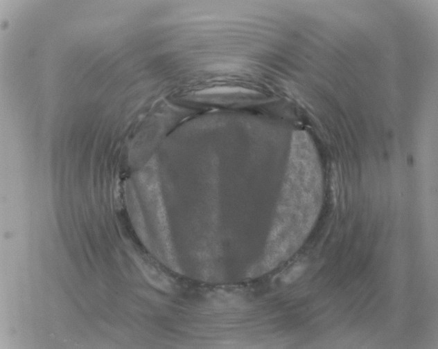 X0000078310868200611251531