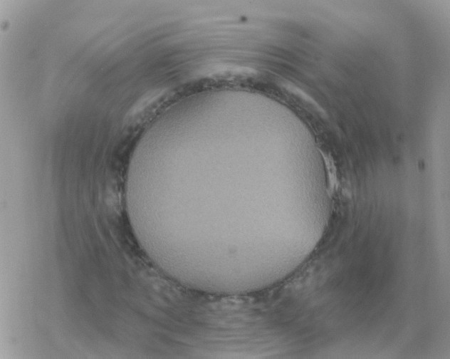 X0000078310869200611251531