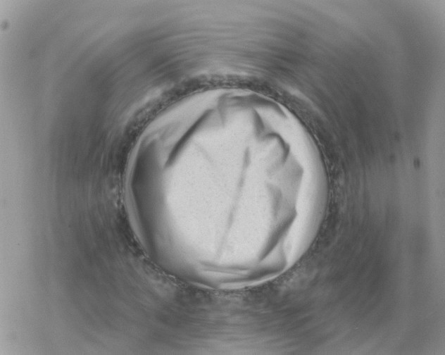 X0000078310870200611251531