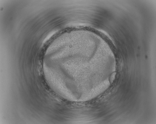 X0000078310871200611251531