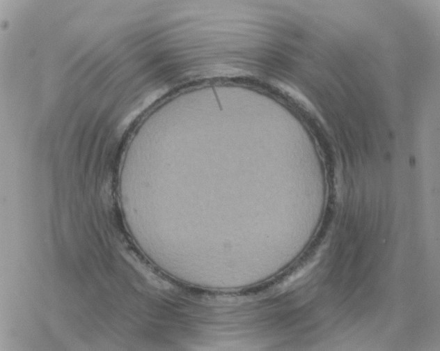 X0000078310873200611251531