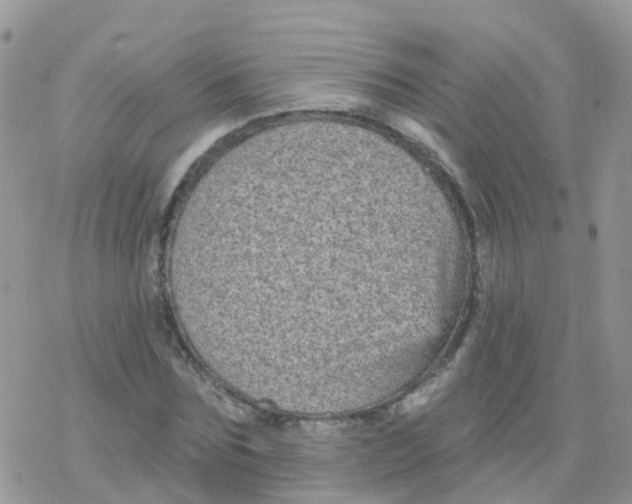 X0000078310875200611251531