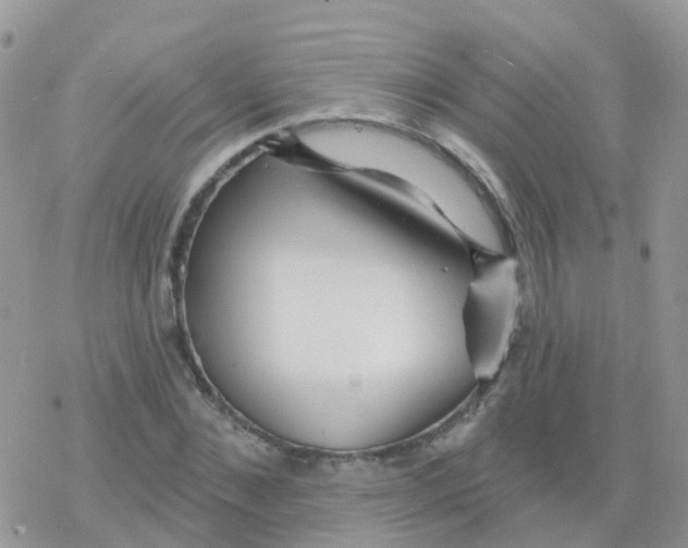 X0000078310876200611251531