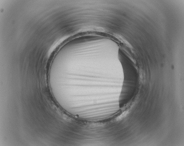 X0000078310877200611251531