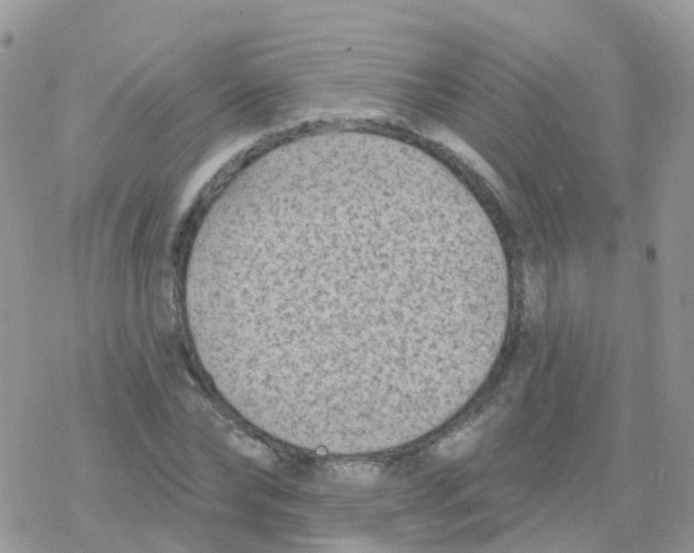 X0000078310878200611251531