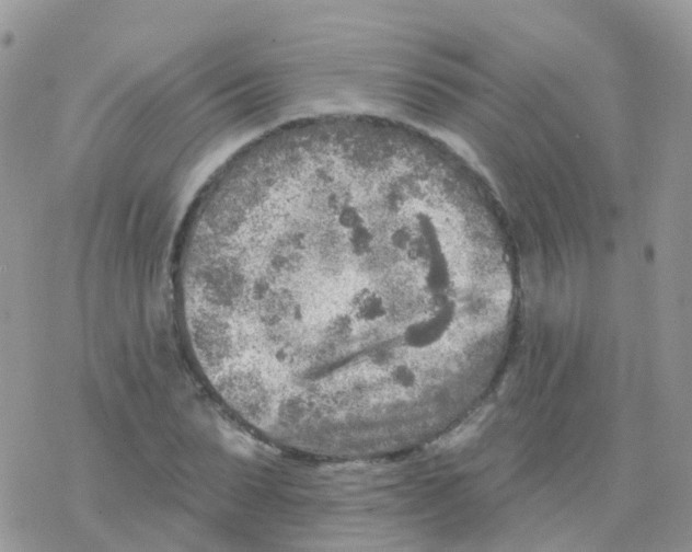 X0000078310879200611251531