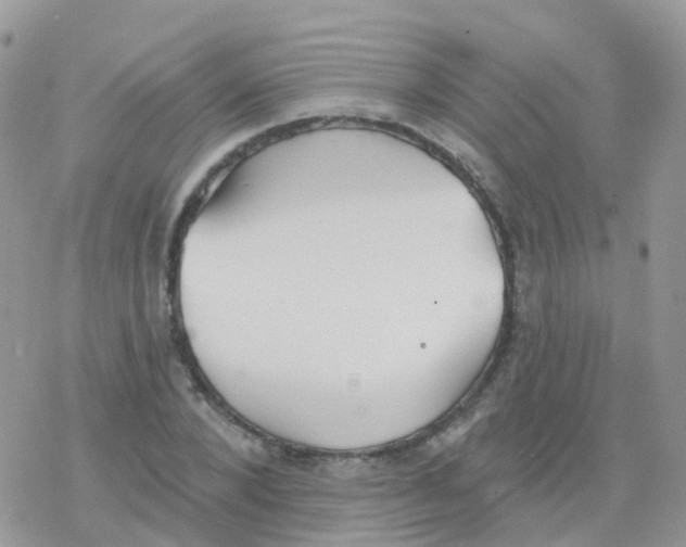 X0000078310880200611251531