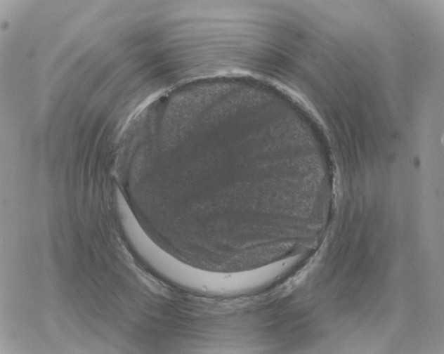 X0000078310881200611251531