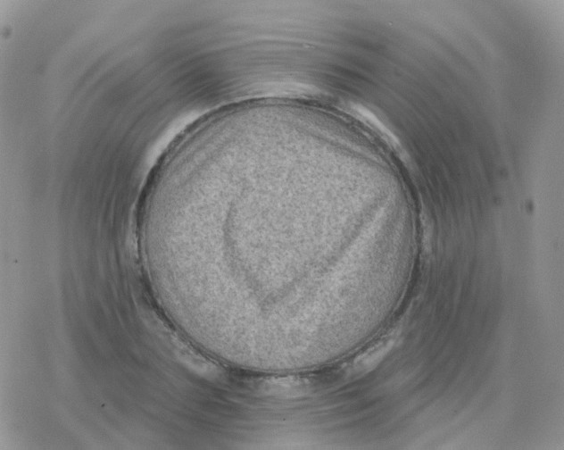 X0000078310883200611251531