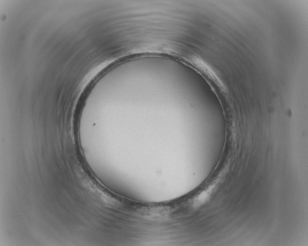 X0000078310884200611251531