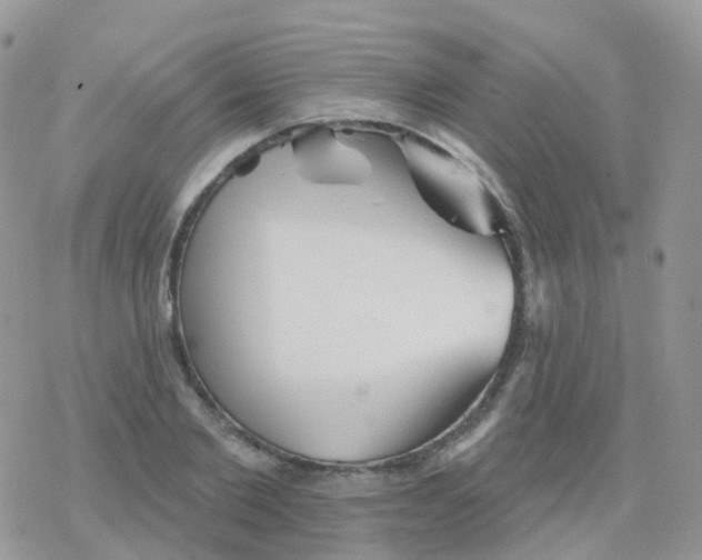 X0000078310885200611251531