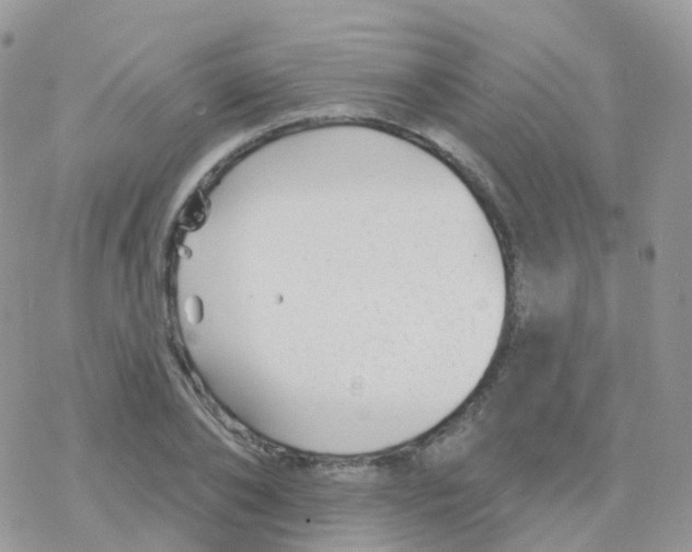 X0000078310886200611251531