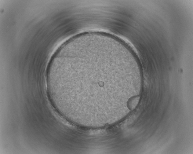 X0000078310887200611251531