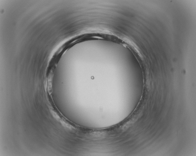 X0000078310888200611251530