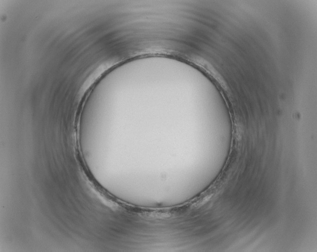 X0000078310890200611251530