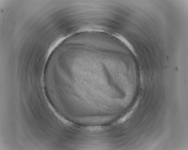 X0000078310893200611251530