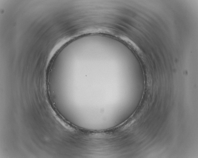 X0000078310894200611251530