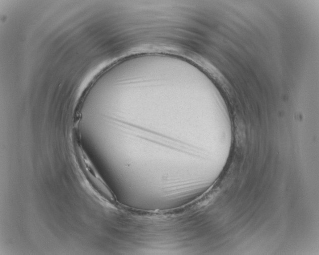 X0000078310896200611251530