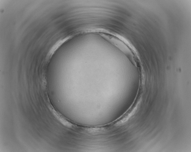 X0000078310897200611251530