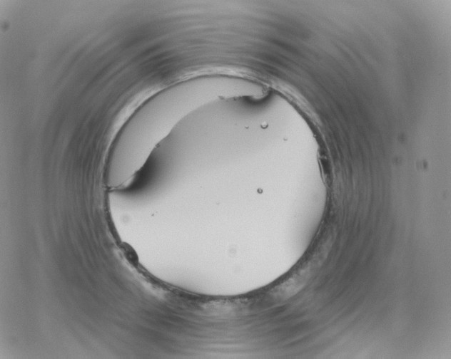 X0000078310898200611251530