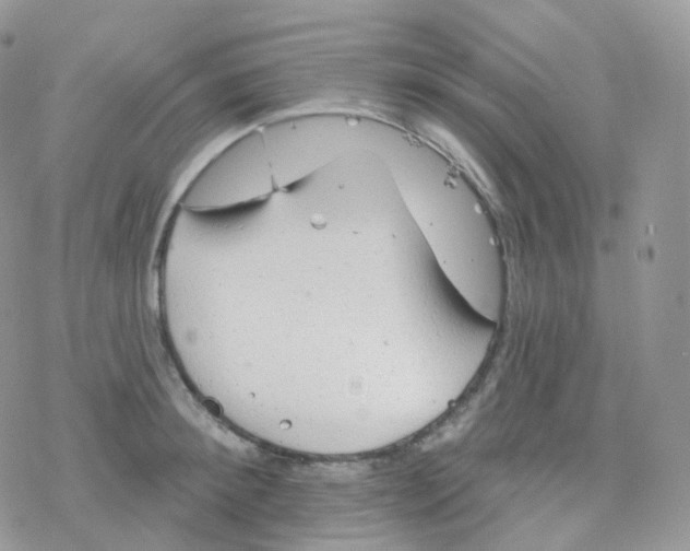 X0000078310900200611251530