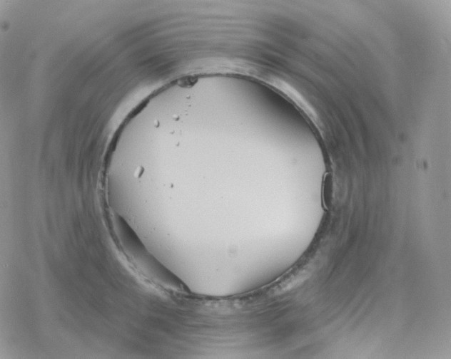 X0000078310901200611251530