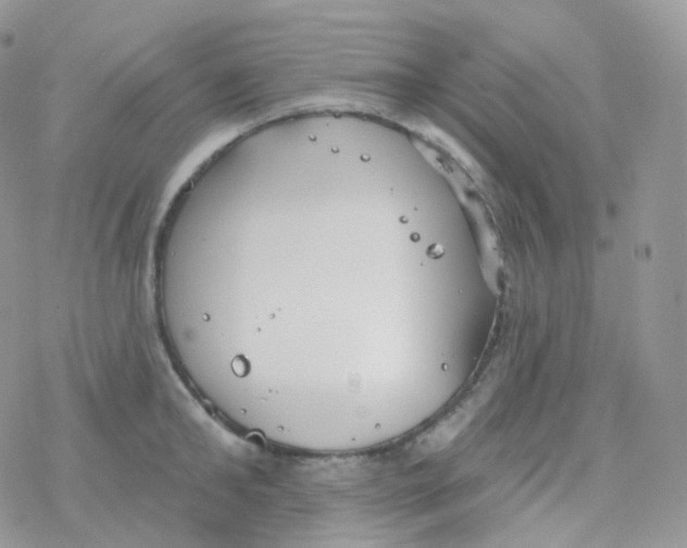 X0000078310902200611251530