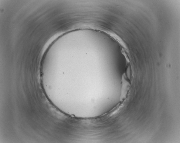 X0000078310904200611251530