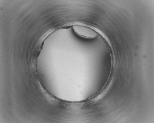 X0000078310905200611251530