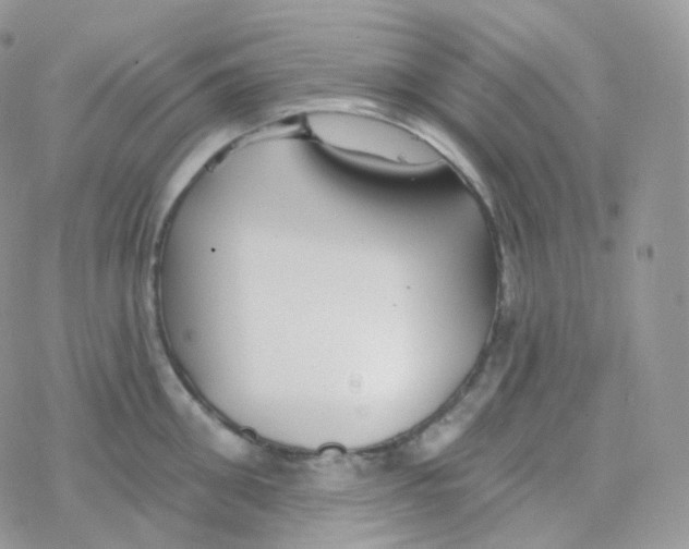 X0000078310906200611251530