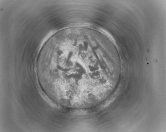 X0000078310907200611251530