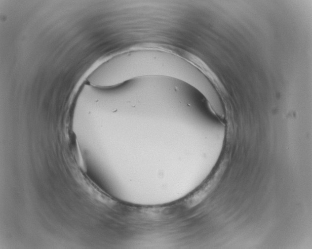 X0000078310908200611251530