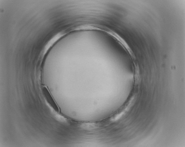 X0000078310909200611251530