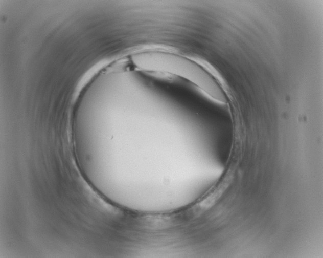 X0000078310910200611251530