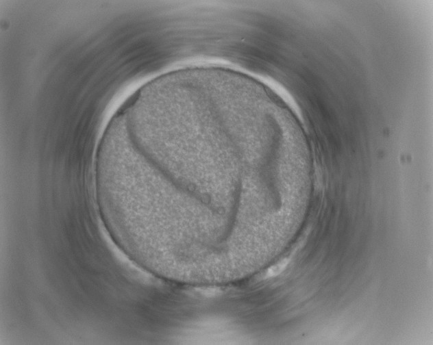 X0000078310911200611251530