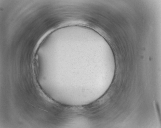 X0000078310912200611251530