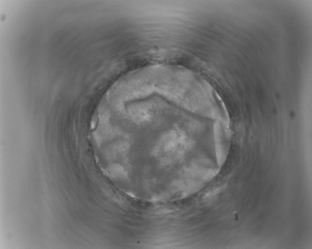 X0000078310913200611251529