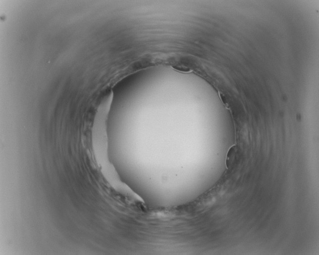 X0000078310914200611251529