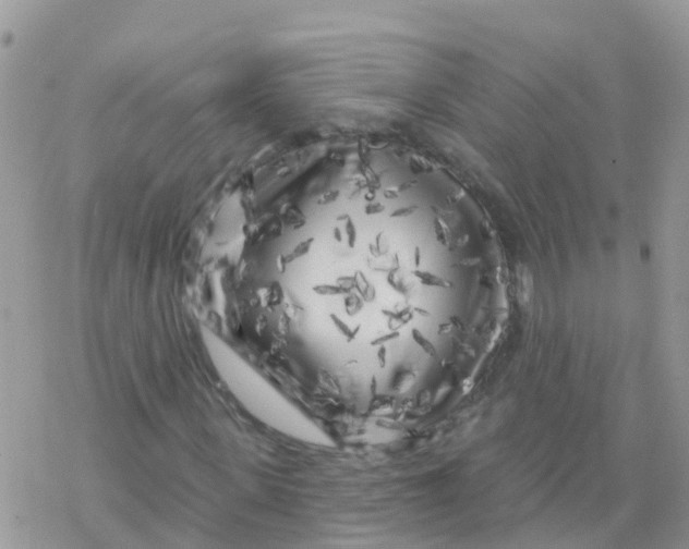 X0000078310915200611251529