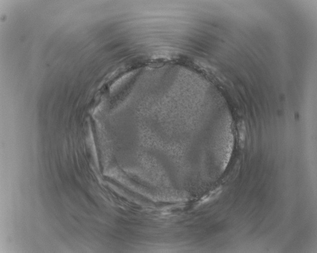 X0000078310916200611251529