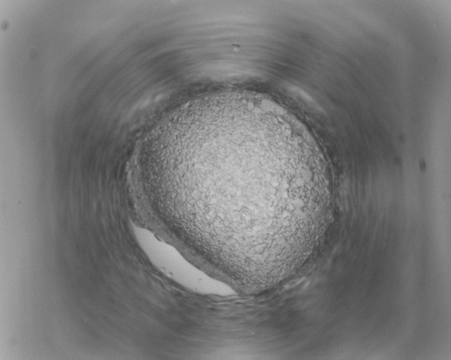 X0000078310917200611251529