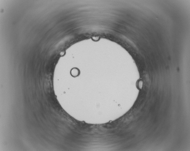 X0000078310918200611251529